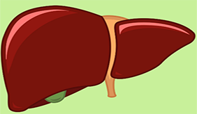 &#108;&#101;&#121;&#117;
